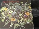INTERNATIONALER FRAUENTAG 1982 Träumerei Beethoven.../ DDR LP 1982 ETERNA 827504