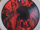 Vinyle Picture Disque Rare ed Limitée STUPEFLIP TERROR TBE