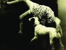 GOOD DOG BAD DOG: THE HOME RECORDINGS NEW VINYL