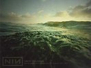 Wild In Woodstock - Live [VINYL] Nine Inch Nails Vinyl
