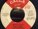 CECIL GARRETT - Bearcat - CALLA