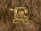 SUPER FURRY ANIMALS    SUPER FURRY ANIMALS AT THE BBC     VINYL 4XLP   *NEW*