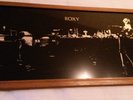 Roxy Music Mirror - For Your Pleasure - Iconic- Rare.