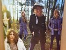 MOTT THE HOOPLE WILDLIFE OG UK PINK RIMMED ISLAND LP A2U/B2U GATEFOLD MINT