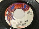 Freddie Scott - (You) Got What I Need - US 45 Soul Shout 1968 EX