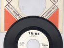 45 Sir Douglas Quintet: Blue Norther b/w The Tracker; Original 1965 Tribe; MINT-