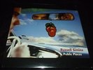 RUSSELL SIMINS 33RPM LP PUBLIC PLACES INDIE BLUES EXPLOSION SEALED GRAND ROYAL