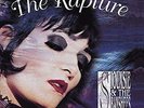 Siouxsie And The Banshees - The Rapture - Reissue (NEW 2 VINYL LP)