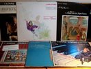 RCA LOT 37 LPs HEIFETZ RUBINSTEIN SZERYNG Reiner CASALS FURTWANGLER BELAFONTE
