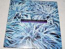 LP : David Friedman - Winter Love April Joy (1978)  Made in Japan (SIGNED) jazz