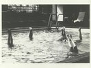 IN AETERNAM VALE - La Piscine - Vinyl (limited coloured vinyl 12
