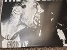 the queers grow up lookout records squirtgun screeching weasel Ramones