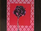 Black Rose - Live By It ,,RARE  1984 South African METAL))))   $37 FREE SHIPPING