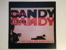 The Jesus And Mary Chain - Psychocandy - vinyl - 1985 release - excellent cond.
