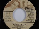 Modern Soul 45 CASH The Joy Of You CASBAR VG+ HEAR