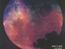 PINK FLOYD - Flat Earth - Vinyl (green vinyl LP)