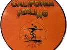 The Beach Boys  Califonia Feeling      Picture Disc LP  RARE