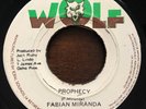 FABIAN MIRANDA - prophecy - WOLF deep 70s roots  LISTEN