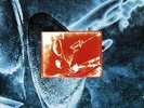 On Every Street - Dire Straits LP