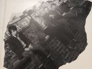 THE UNDERTONES - LP - 1979