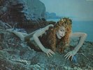 Roxy Music Siren Island Records Vinyl LP
