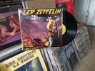RARE LED ZEPPELIN MAY, 24 1975 EARL;S COURT NM COVER-LP EX