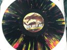 Sick Of It All Wake The Sleeping Dragon color Vinyl FAT WRECK EDITION nofx mint