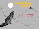Howlin Wolf - Moanin In The Moonlight 602567787433 (Vinyl Used Very Good)