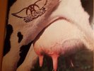 LP Aerosmith - Get A Grip ***First Press 1993***