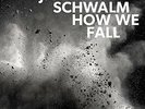 SCHWALM,JAN-PETER-HOW WE FALL (OGV) VINYL LP NEW