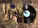 THE LITTLE BOY BLUES IN THE WOODLAND OF WEIR KILLER PSYCH VINYL LP EX+ NM