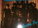 LP (Vinyl) Ramones - Album 