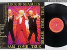 A FLOCK OF SEAGULLS DREAM COME TRUE CBS/SONY 28AP 3183 Japan OBI VINYL LP