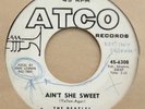 Atco 6308 - The Beatles - Ain't She Sweet/Nobody's Child - promo label 45rpm
