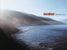 Morning View [LP] by Incubus (Vinyl, Jan-2013, 2 Discs, Legacy)