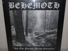 LP BEHEMOTH - AND THE FORESTS DREAM ETERNALLY - CLEAR