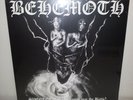 LP BEHEMOTH - SVENTEVITH - WHITE