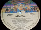 KISS - LP - ANIMALIZE - MEXICO - VINYL - COUNTERF. RADIO PROMO SLEEVE