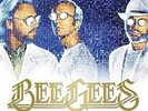 Timeless - The All-Time Greatest Hits - 2 DISC SET - Bee Gees (2018, Vinyl NEUF)