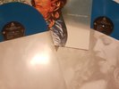 MADONNA - Ray Of Light- 2017 Blue Vinyl LP UK Sainburys Exclusive