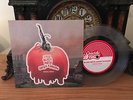 Black Moth Super Rainbow ZODIAC GIRLS Suicide Squeeze Clear Vinyl 7” 2008 NM