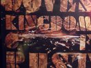 Doves Kingdom of Rust double vinyl LP. Original sealed vinyl mint