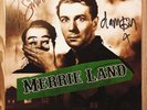 THE GOOD, THE BAD & THE QUEEN - MERRIE LAND - GREEN VINYL LP - SIGNED