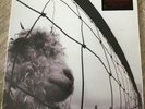 Pearl Jam VS SEALED LP Gatefold 180gm US 2011 Remastered, Reissue