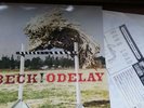 Beck Odelay 180g Vinyl Record Bong Load Custom Record 1996 VGC