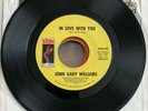 Rare Sweet Soul John Gary Williams