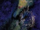 Bardo Pond?-Under The Pines (UK IMPORT) VINYL NEW