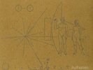 Brian Jonestown Massacre-Aufheben VINYL NEW