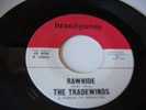 The Tradewinds Guitar Inst. 45 on Brandywine  