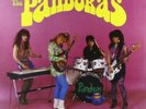 The Pandoras - It's About Time